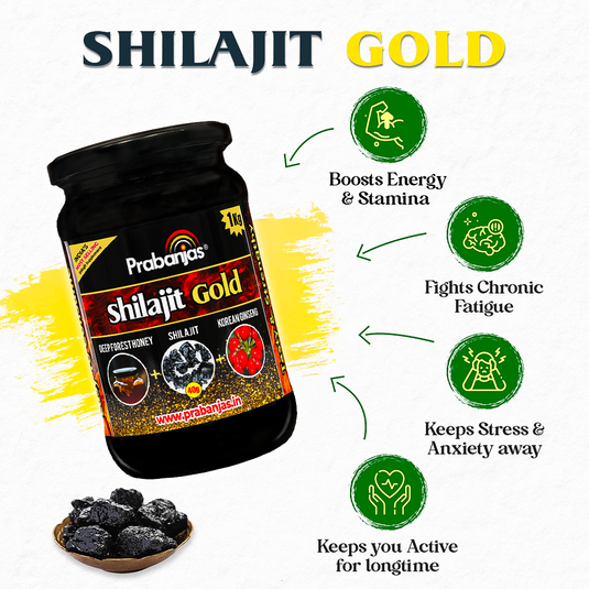 Prabanjas Shilajit Gold- Processed with 40 Gram Original Shilajit + Pure Forest Honey with Herbs For 4 X Power