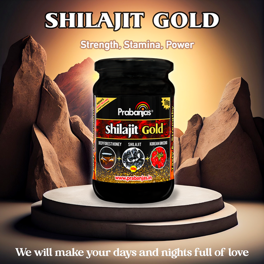 Prabanjas Shilajit Gold- Processed with 40 Gram Original Shilajit + Pure Forest Honey with Herbs For 4 X Power