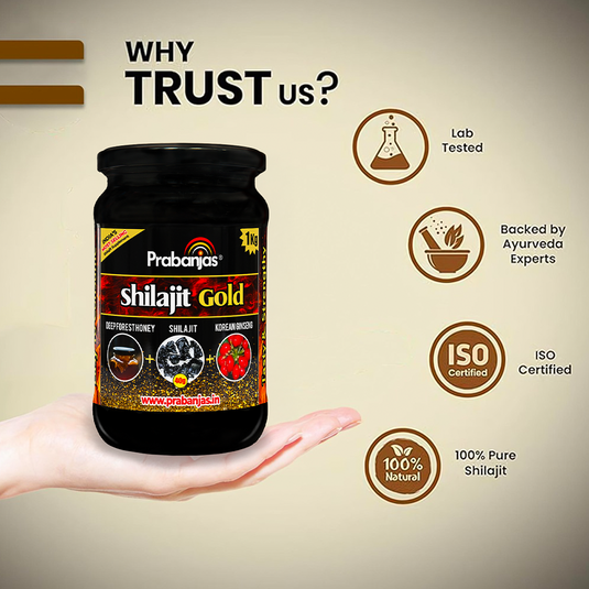 Prabanjas Shilajit Gold- Processed with 40 Gram Original Shilajit + Pure Forest Honey with Herbs For 4 X Power